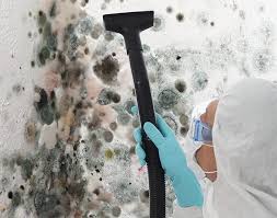 Best Mold Documentation for Insurance Claims  in Mattoon, IL